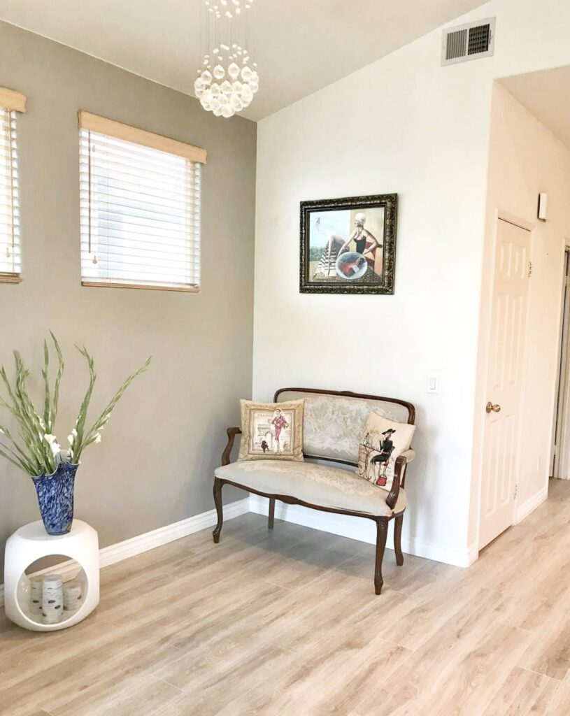 home decor: sofa and a plant