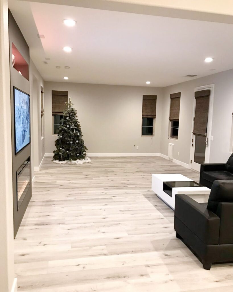 light spaciousness living room